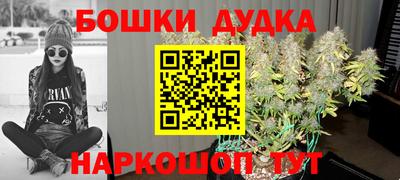 ГАЛЛЮЦИНОГЕННЫЕ ГРИБЫ Кингисепп