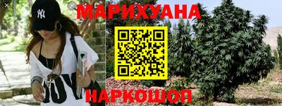 ГАЛЛЮЦИНОГЕННЫЕ ГРИБЫ Кингисепп