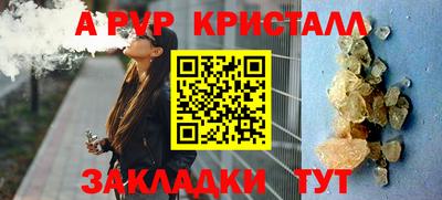 ГАЛЛЮЦИНОГЕННЫЕ ГРИБЫ Кингисепп