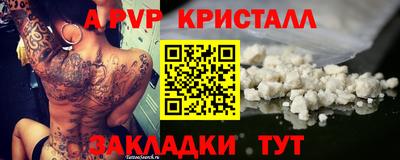 ГАЛЛЮЦИНОГЕННЫЕ ГРИБЫ Кингисепп