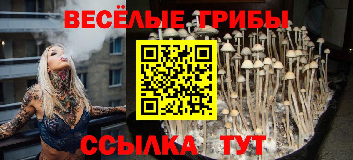 Псилоцибиновые грибы Cubensis  Вход с VPN  Конаково 